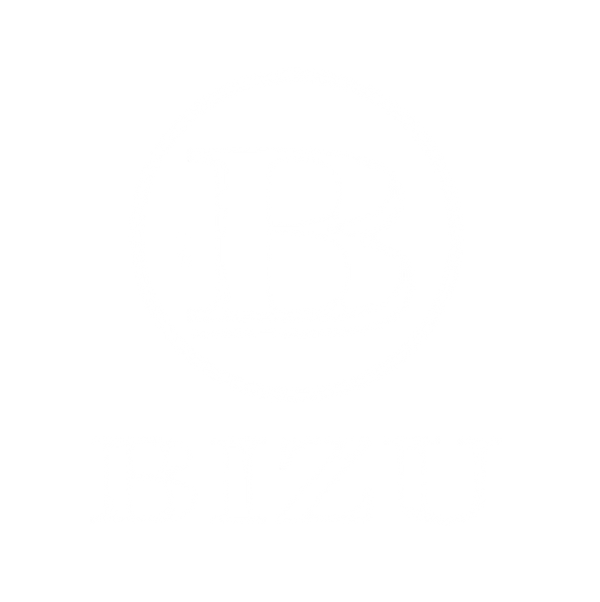 BIZU BILLIARDS